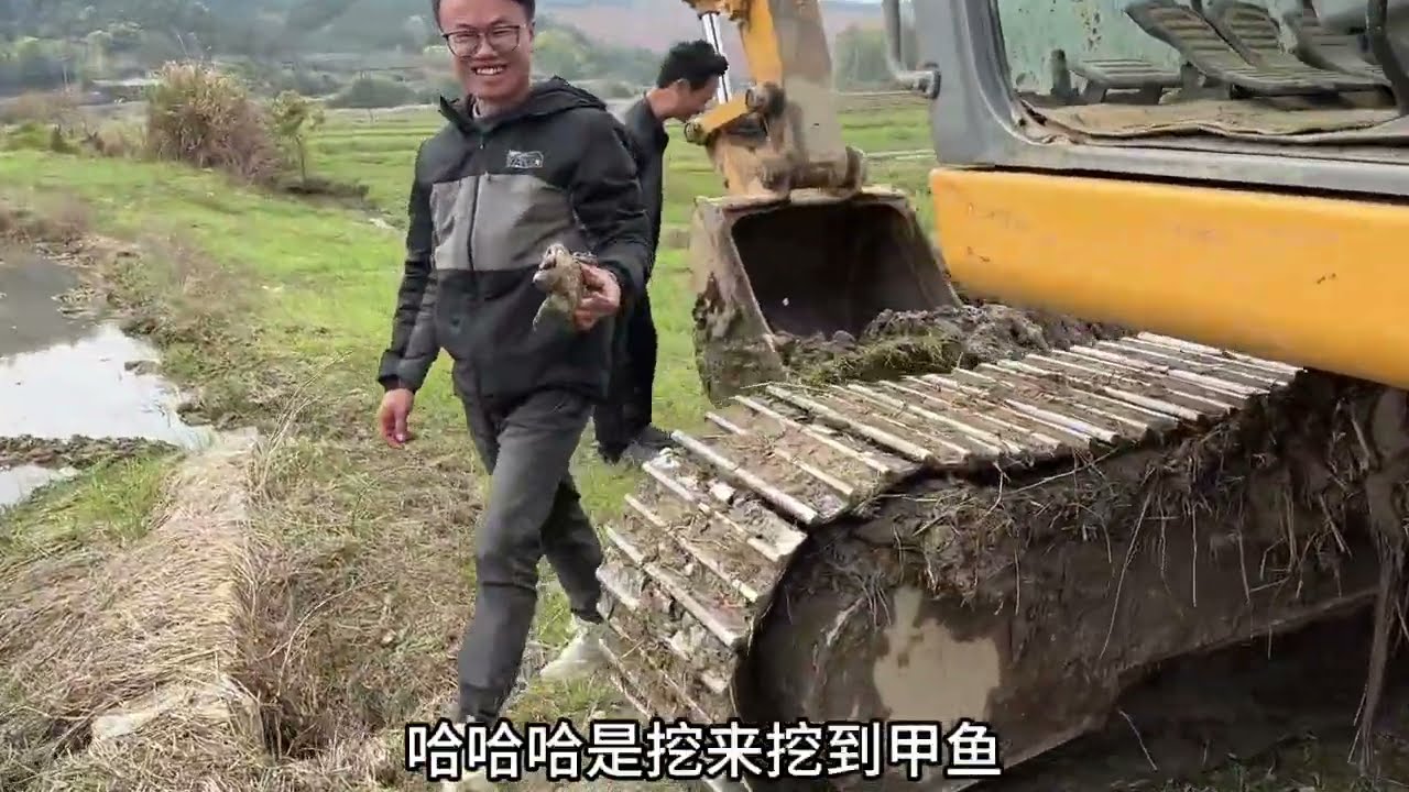 请抬挖机干活还有意外惊喜，没想道这水沟还有这个货。 #农村养牛人记录农村生活 #三农 #农村生活