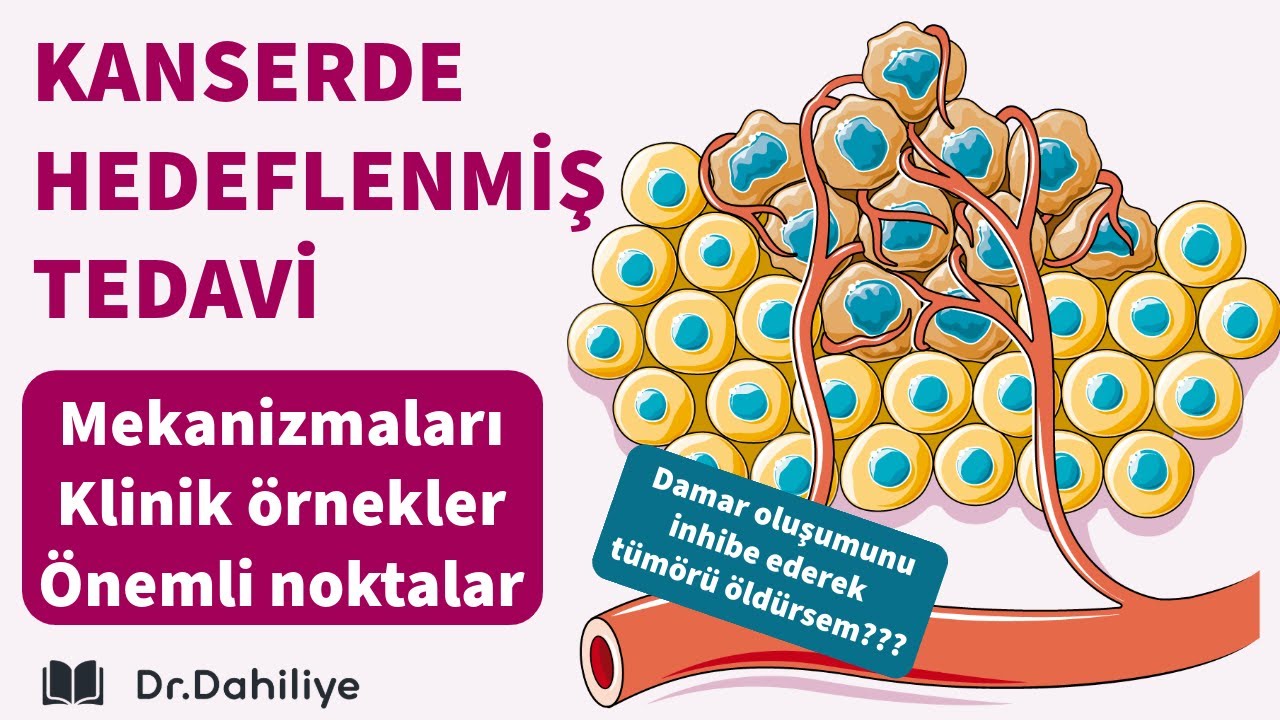 Hedeflenmiş Kanser Tedavileri