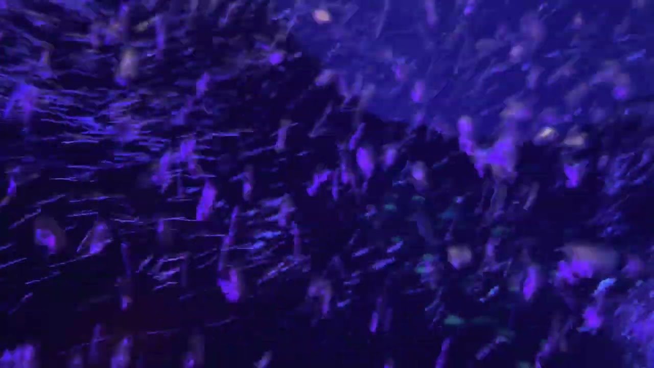 Finding Nemo Submarine Voyage Re-opening Day 4K HDR