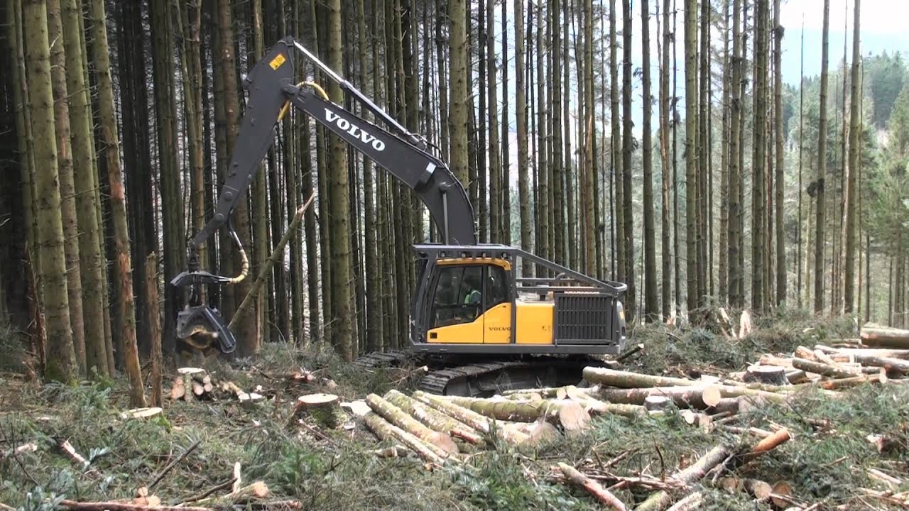 VOLVO EC240CL with Ponsse H7 harvesting head