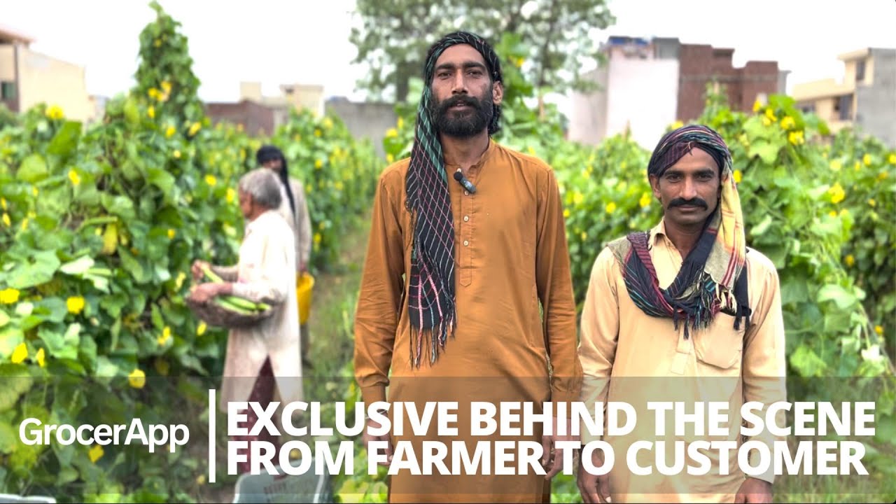 How GrocerApp buys fruits & vegetables directly from the farmer through its collection centres