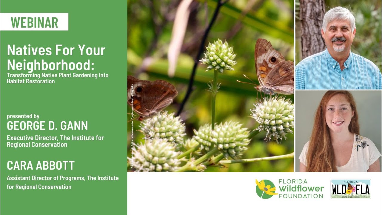 Natives For Your Neighborhood: Transforming Native Plant Gardening Into Habitat Restoration