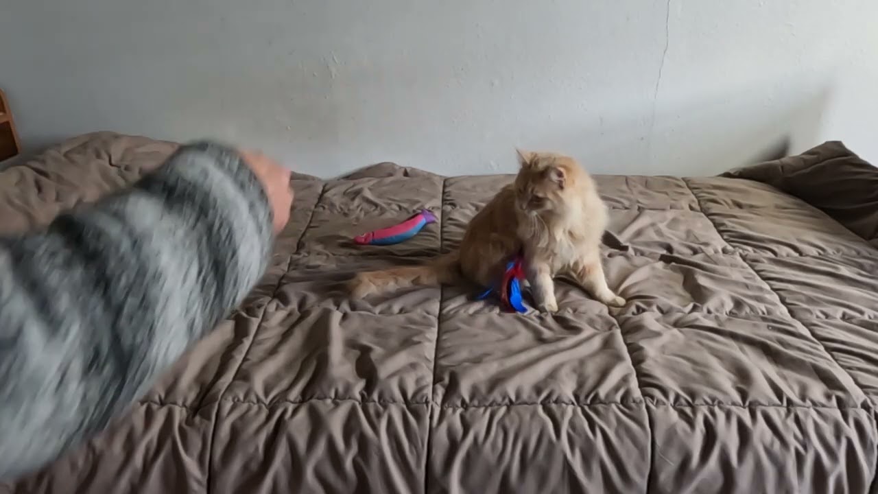 hunt play 2