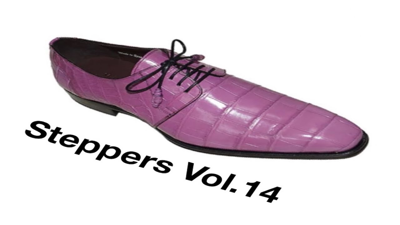 STEPPERS VOL.14