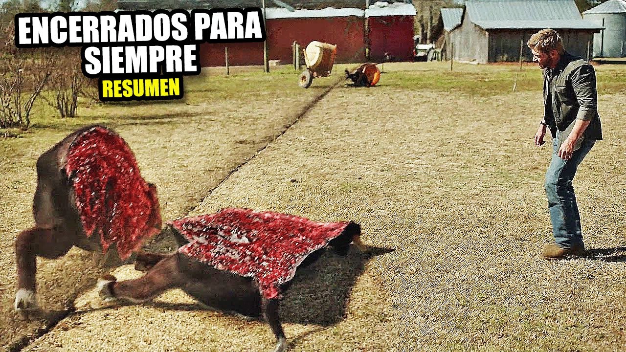 UN DOMO MISTERIOSO cae sobre un pueblo, ATRAPANDO A TODOS CON COMIDA LIMITADA Y SIN SALIDA