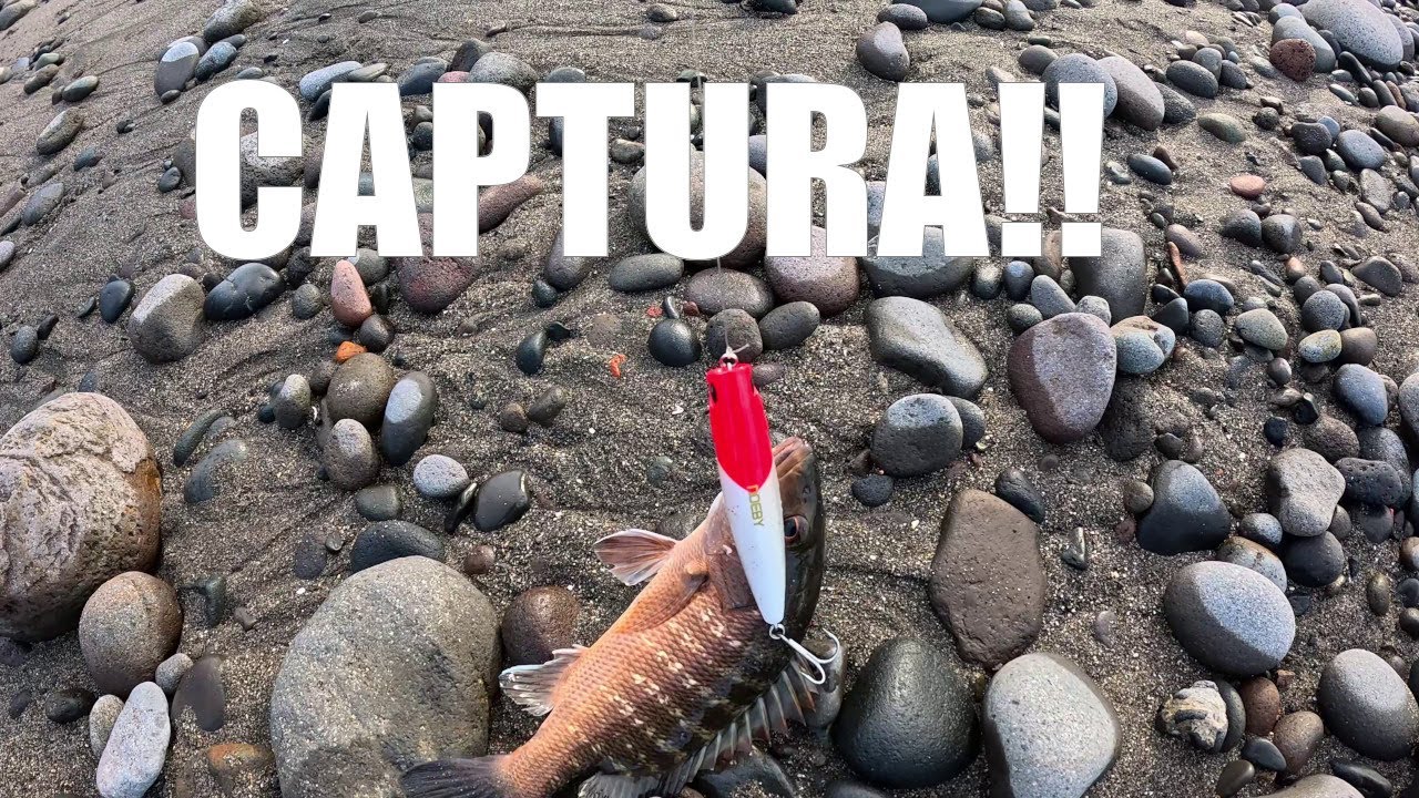 Pesca en El Obispo y Bocana del Río Chilama | ¡Mi Mamá Logra Su Primera Captura! 🎣