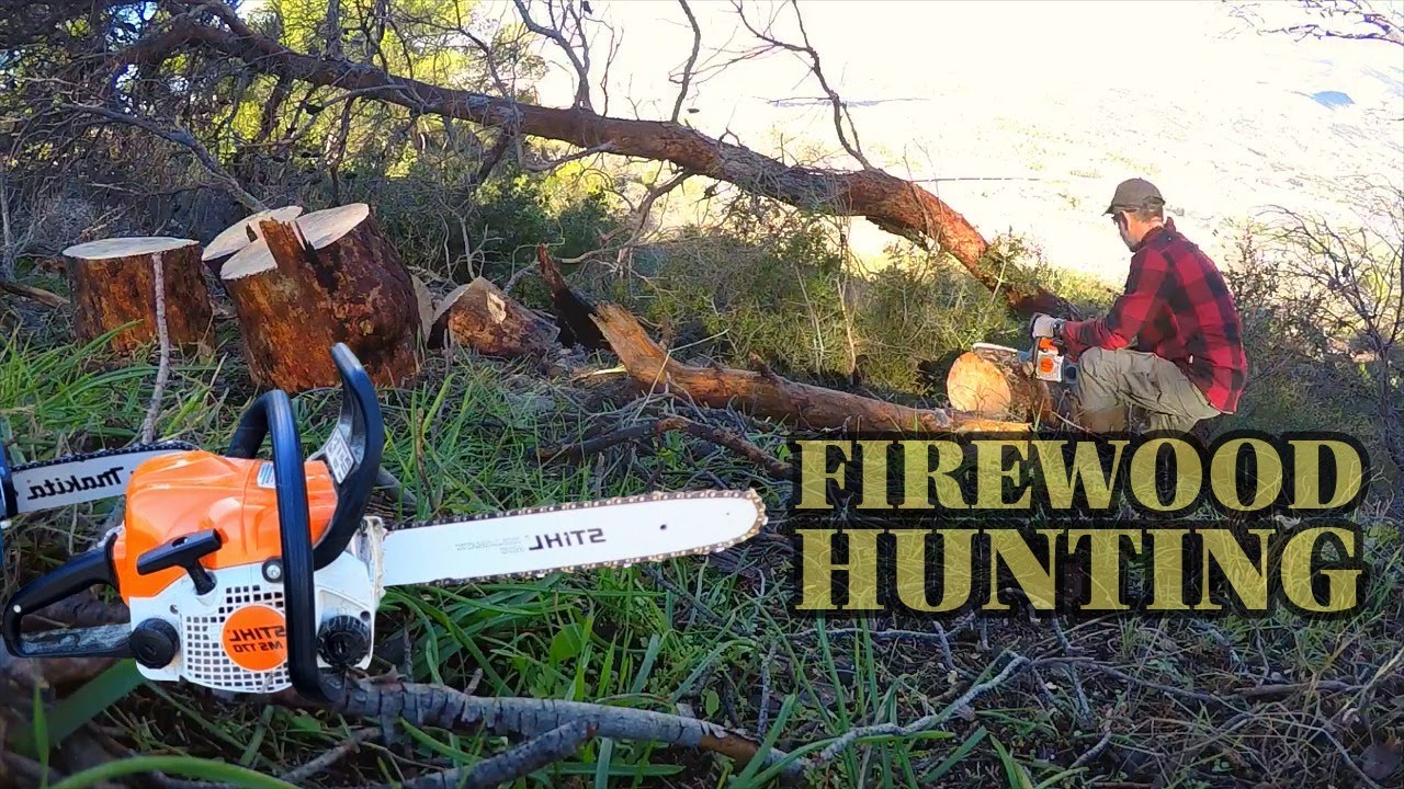 Я боролся с этим деревом! Stihl MS170