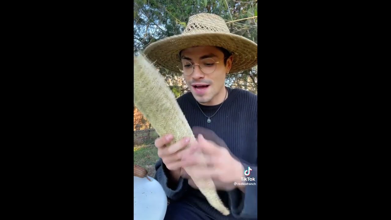 ASMR TikTok - Garden Harvest Compilation
