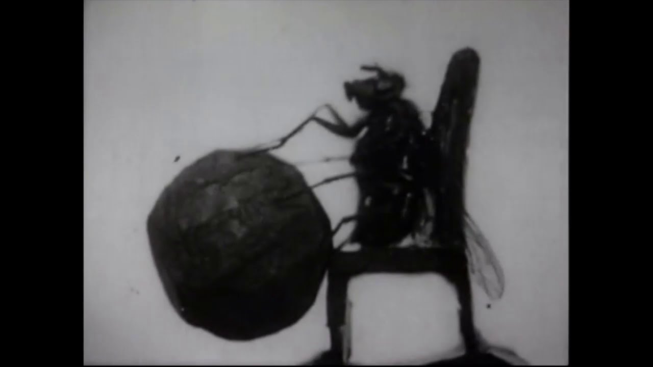 The Balancing Bluebottle (1910) The The Acrobatic Fly (Urban)