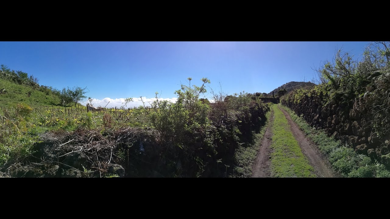 La Palma - Wandern - von Los Cancajos nach Mazo
