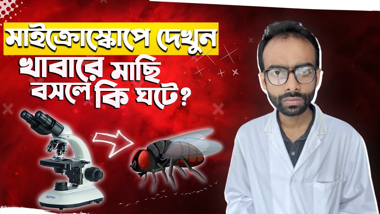 মাইক্রোস্কোপে- মাছির বিভিন্ন অংশ, খাবারে বসলে কি হয়? Sabbir Ahmed