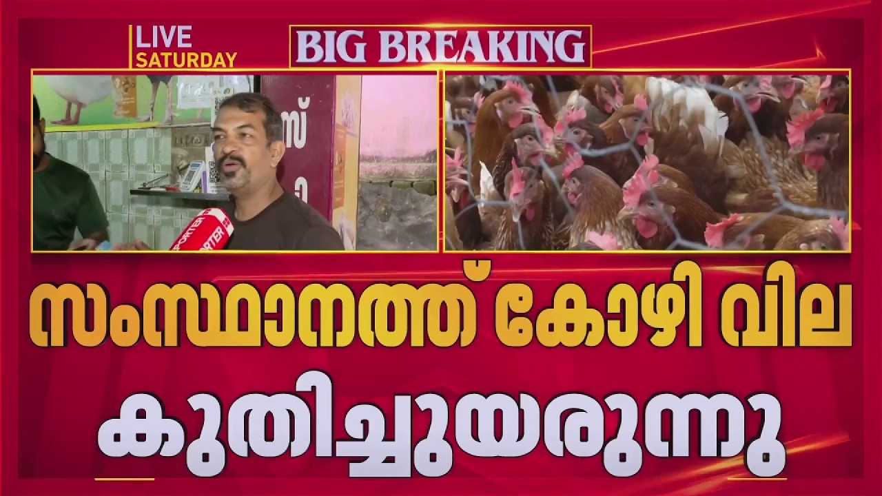 Chicken prices have gone beyond the limit...; Chicken prices are soaring in the state | Chicken Price Hike | Poultry