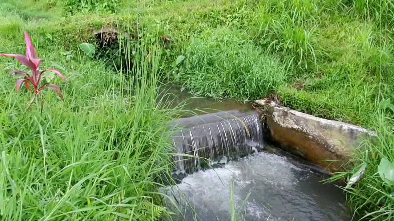More Than Irrigation - The Balinese Subak system of water management in Indonesia [Documentary]