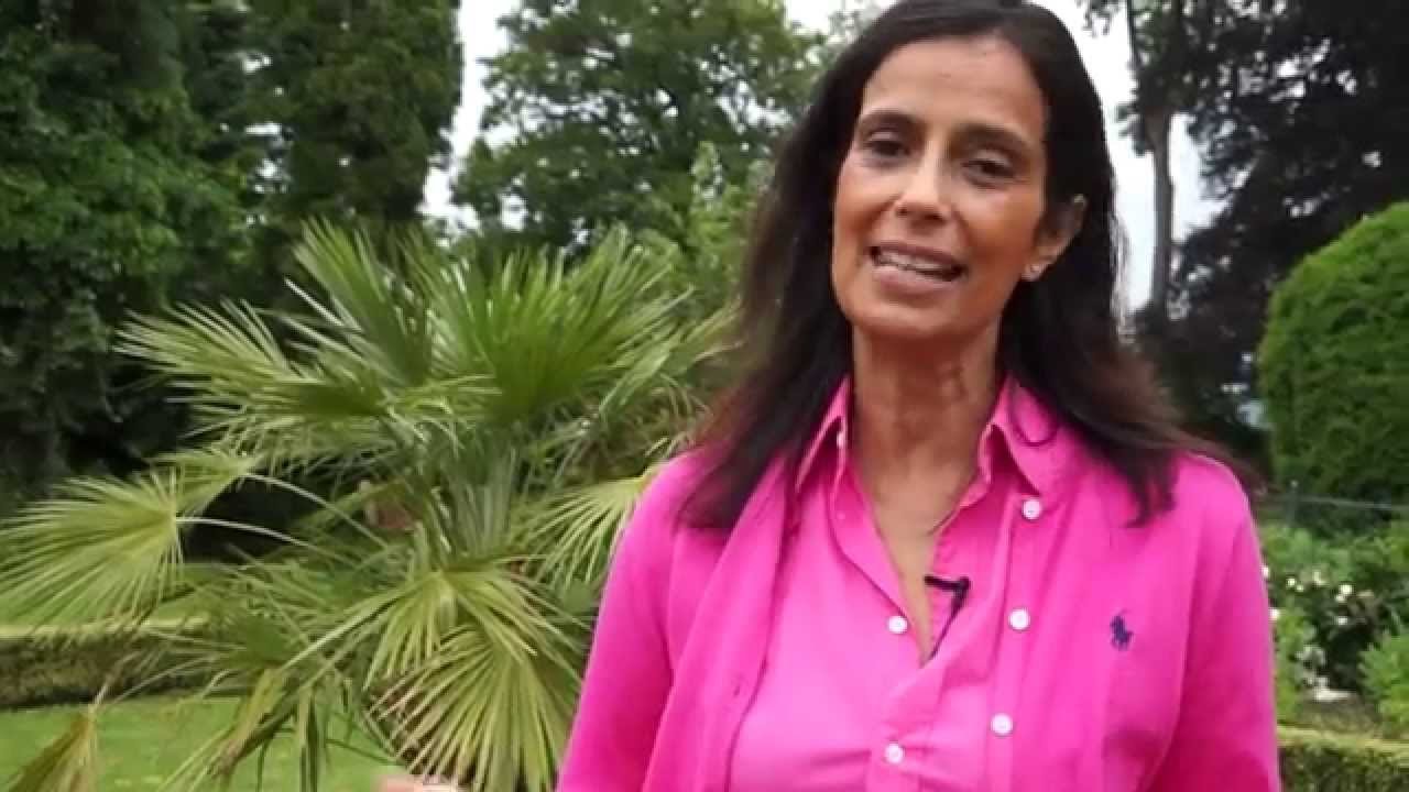 Der Ausfluss - Dr. Verena Breitenbach