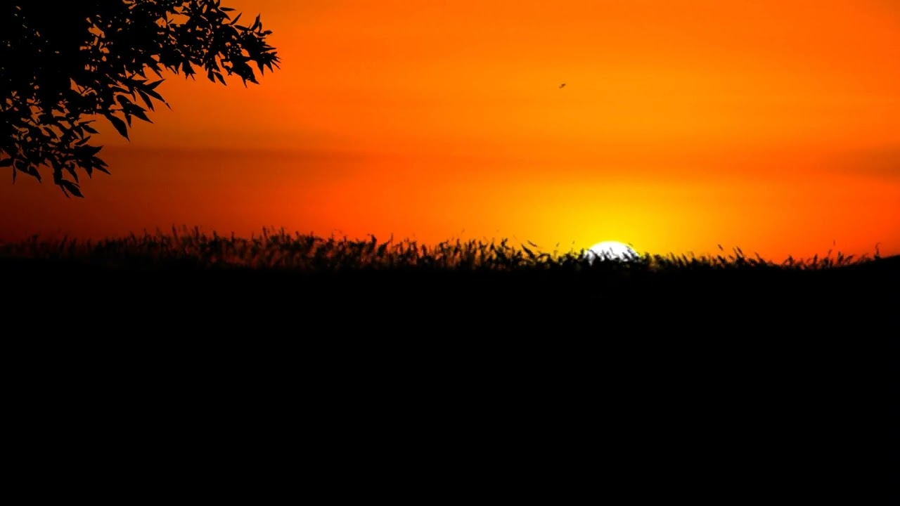 Nature's Symphony: Sunset and Wind in 4K Serene Landscape 🌅🌬️🏞️