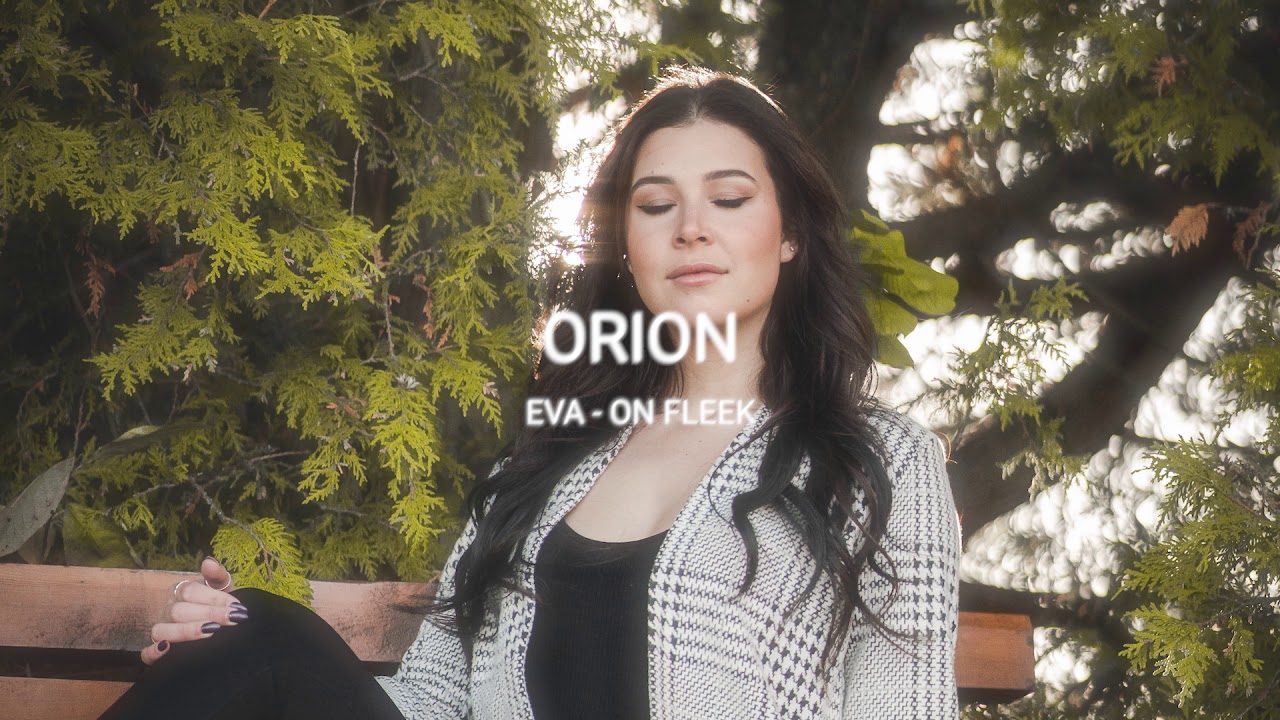 Eva - On Fleek (slowed + reverb)
