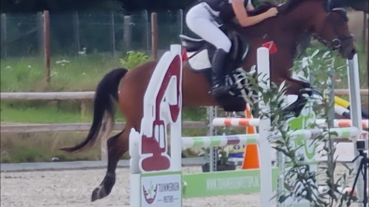 Schanebroek's Cas dubbel foutloos en 2x geplaatst DL