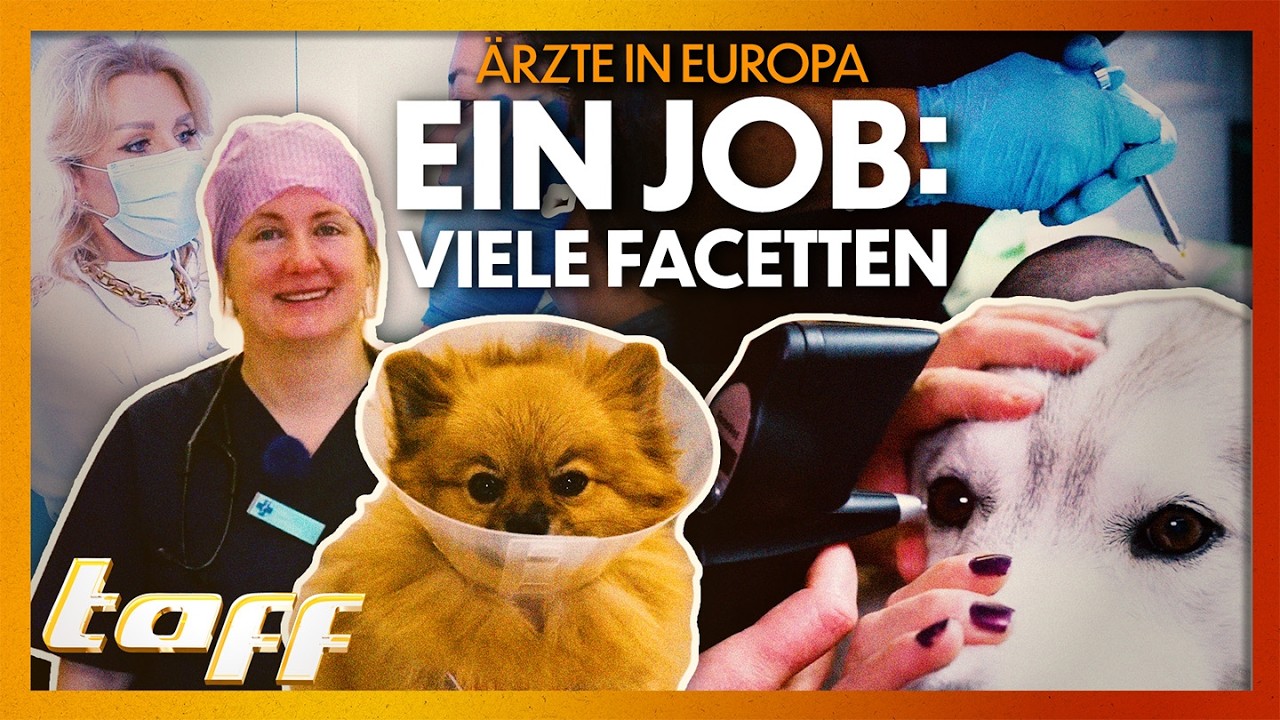 Zwischen Welpen-Tränen und Botox-Partys: Der Wahnsinn im Ärzt:innen-Alltag