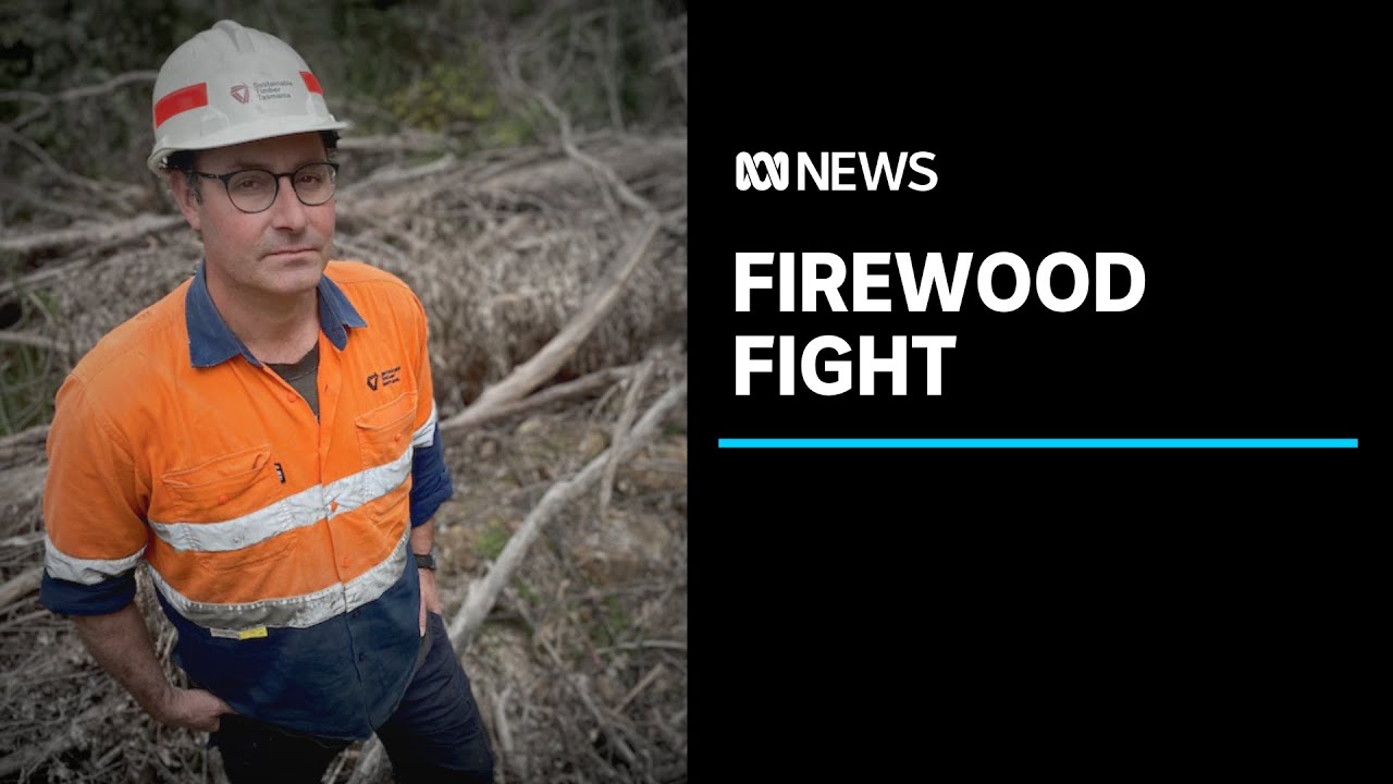 Illegal collecting of firewood in Tasmania not only an eyesore but potentially fatal | ABC News