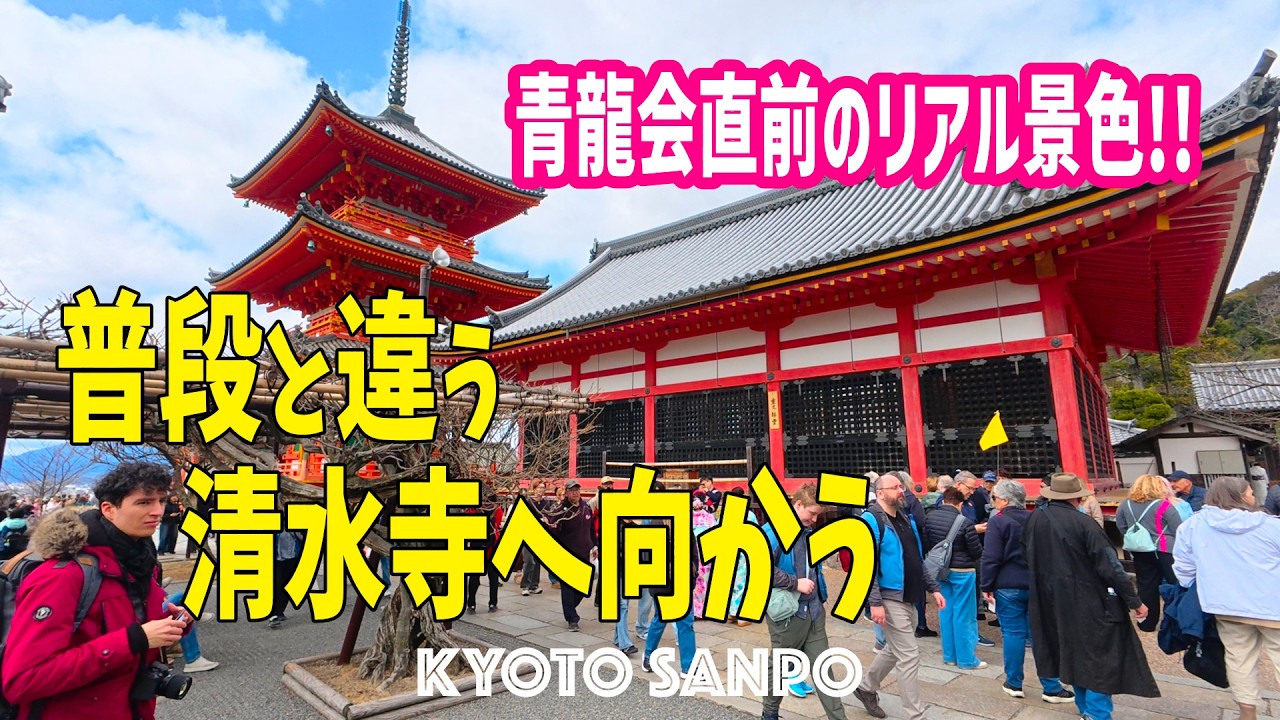 2026/3/15 (日) 🌸清水寺青龍会直前!!🐉 清水寺へ向かう中 続々と集まる観光客の異様な雰囲気とリアルな様子/春の京都/春さんぽ/Kyoto walk [京都4K]