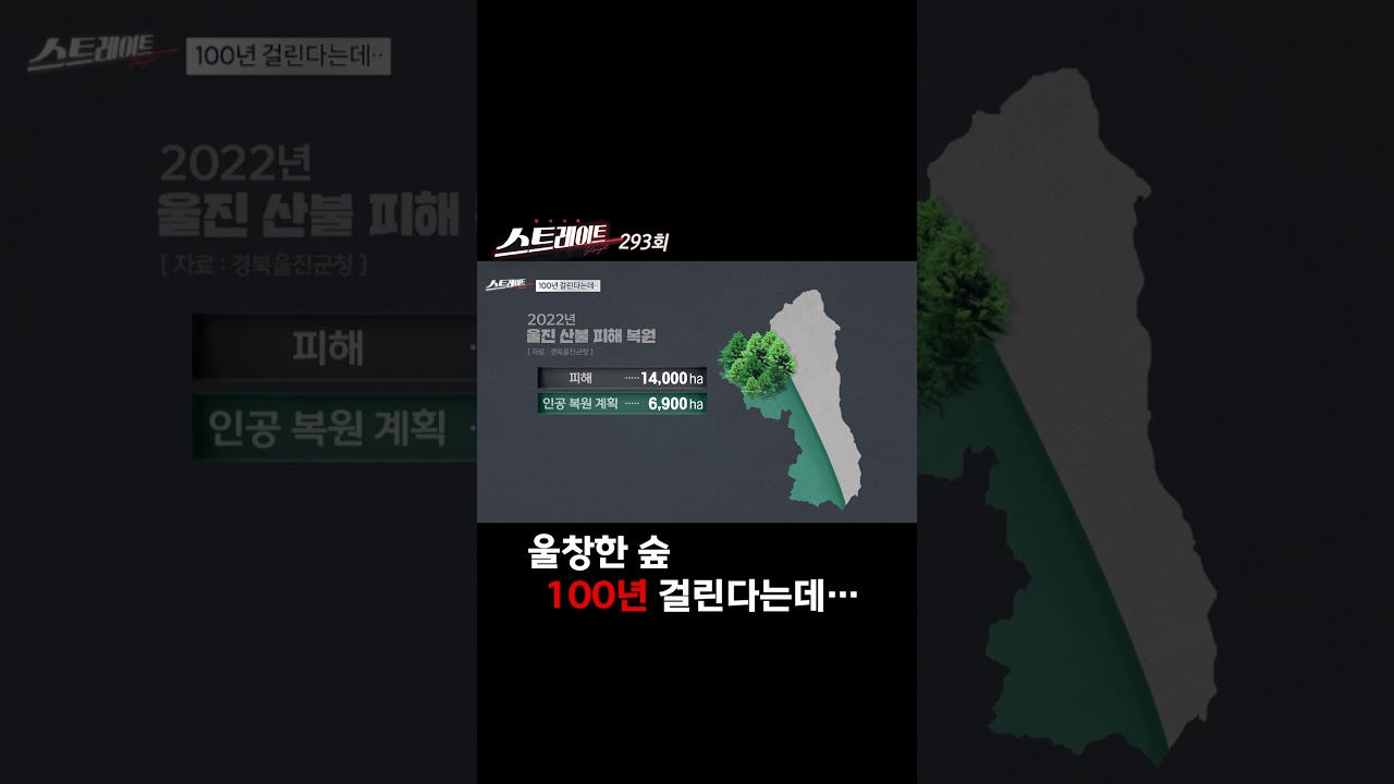 울창한 숲 100년 걸린다는데 #shorts #쇼츠