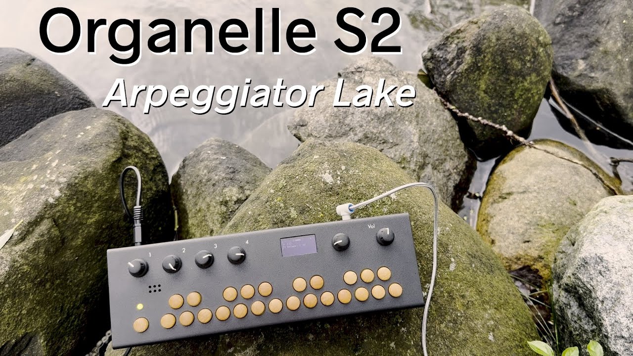 Organelle S2 - Meditation at Arpeggiator Lake