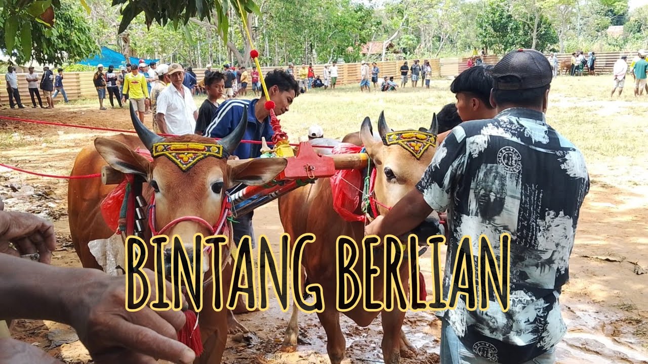 BINTANG BERLIAN MENATAP PODIUM DI PIALA PRESIDENT
