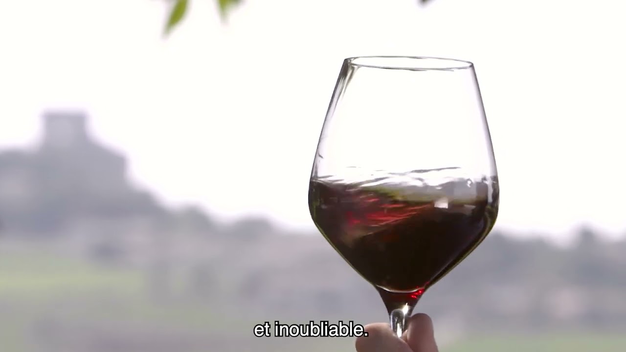 Connexion Vignobles : Vallée du Rhône, 2ᵉ Vignoble d'AOC de France