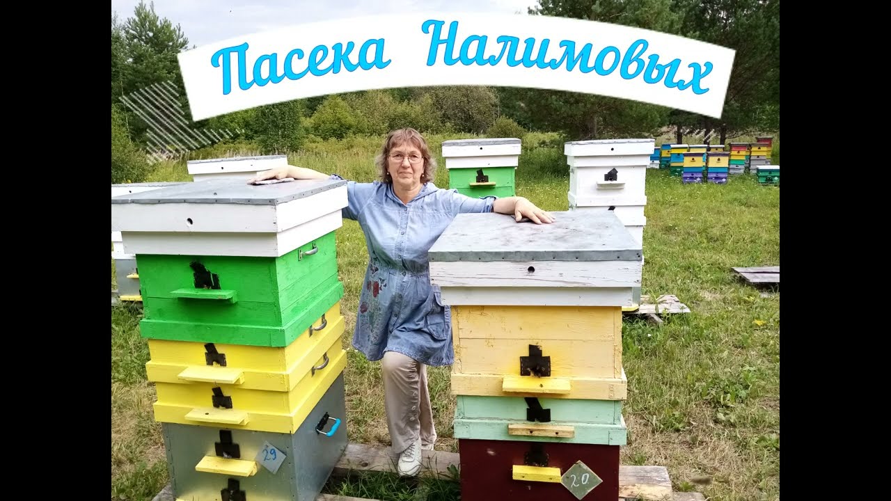 История наших ульев. Какие лучше и почему?