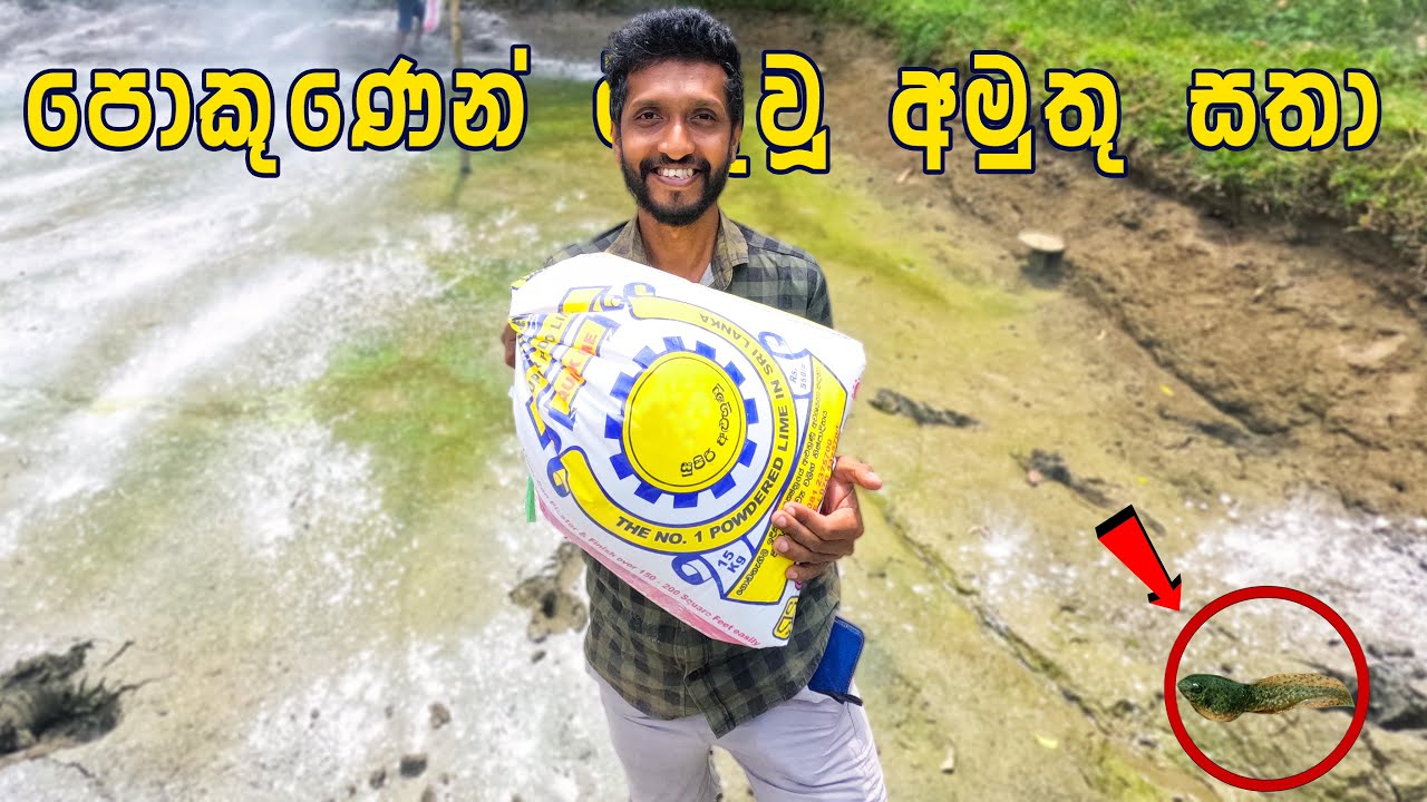 මාළු දාන්න කලින් මඩ පොකුණ හදන විදිය | අපට අත්භූත සතෙක් හම්බ වුණා 🇱🇰 | Preparing a Mud Pond (2023)