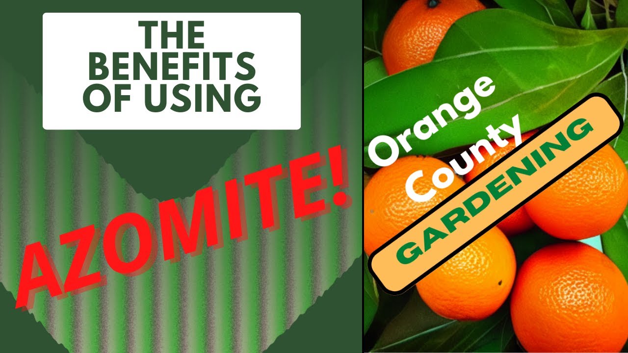 The Benefits of Using Azomite in your Garden