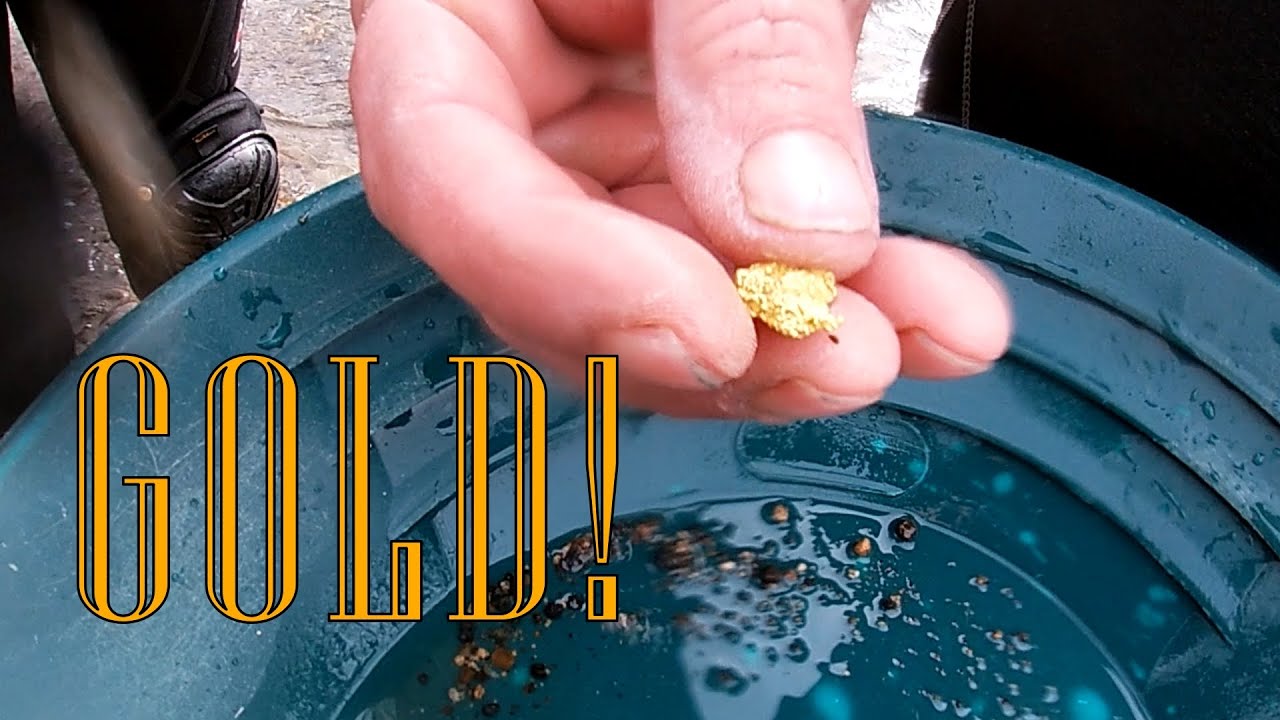 Gold Nugget - Oregon Winter Sniping