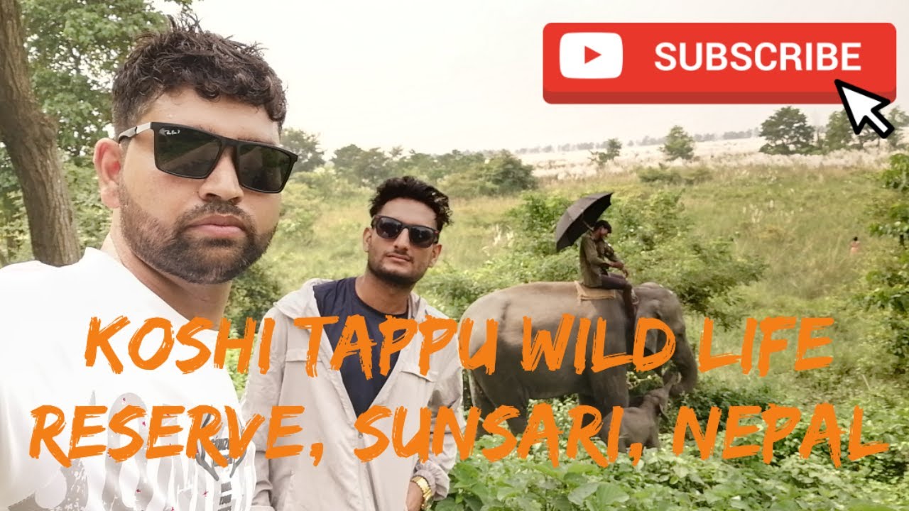 Koshi Tappu Wildlife Reserve, Sunsari, Nepal ||Navaraj Rijal and Suraj Acharya || 24.09.2022
