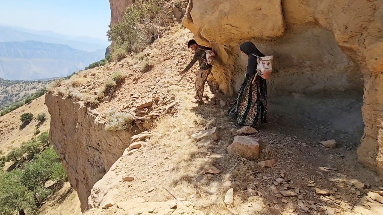Подъем на опасные скалы в поисках диких фисташек и лекарственных трав 🌿⛰️ | Iran Nomad Life
