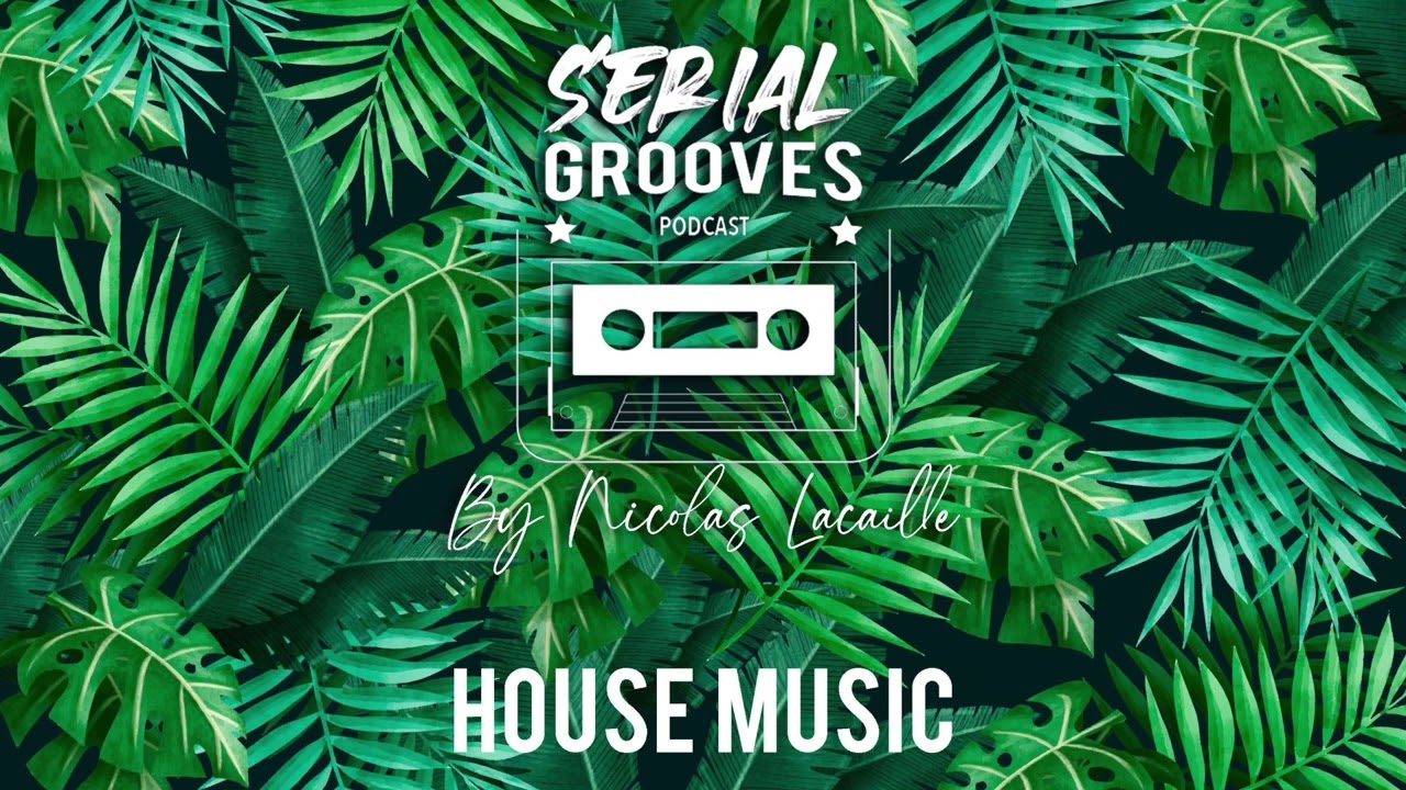 SERIAL GROOVES #4 HOUSE MUSIC 2022 by Nicolas LACAILLE
