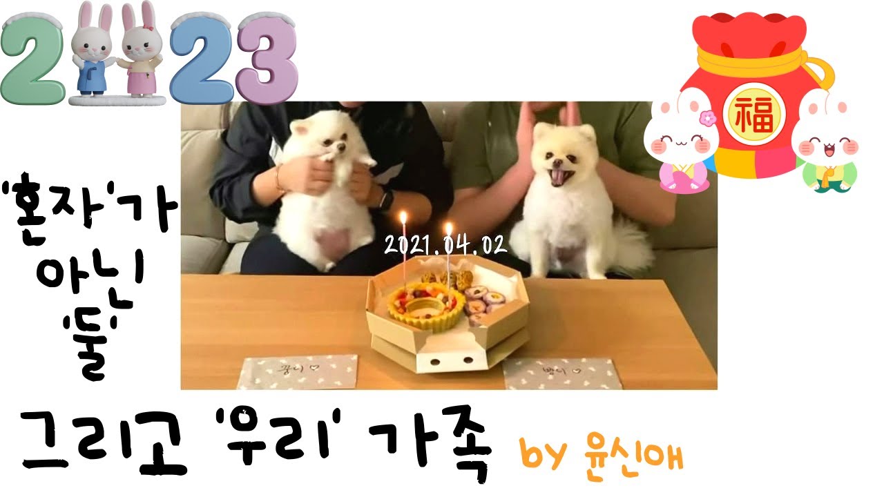 [반려동물사랑] '혼자'가 아닌 '둘' 그리고 '우리' 가족ㅣNot Alone, Two of Us, and Our Family