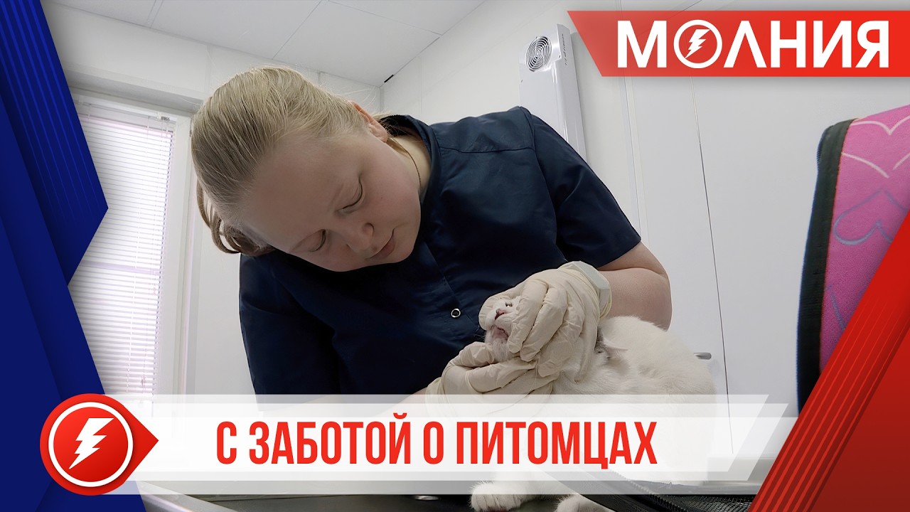 В госветклиниках Ямала стартовала акция «Мартовский кот»