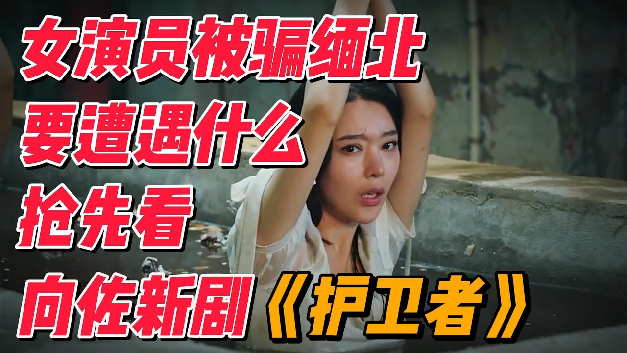 女演员被带到缅北紧跟时事，《护卫者3》抢先看，向佐化身硬汉 #影视解说 #电影解说