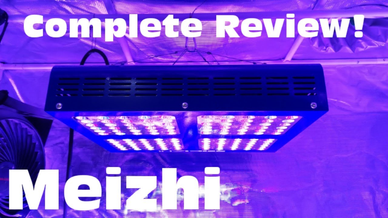 R600w Meizhi Growlight Complete Review!