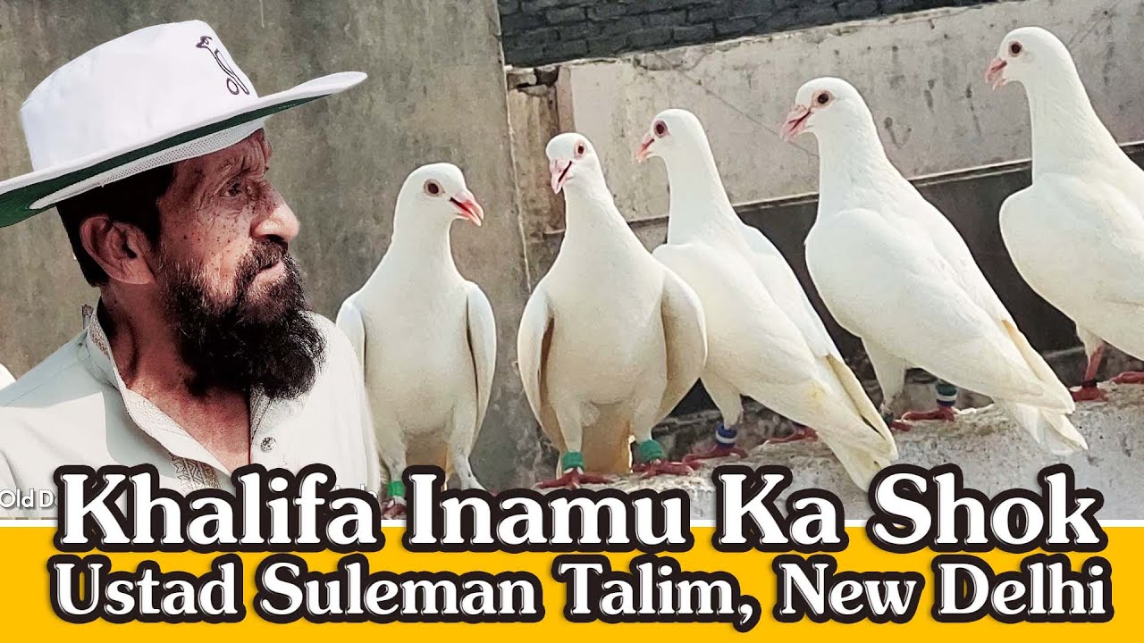 100 White Pated Ka Shok, Khalifa Inamu, Ustad Suleman Talim