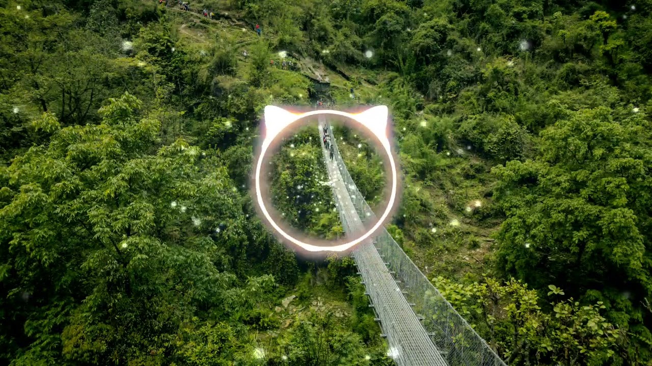 Forever Here | Through The Fog