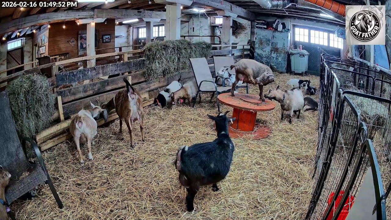 Live farm cam