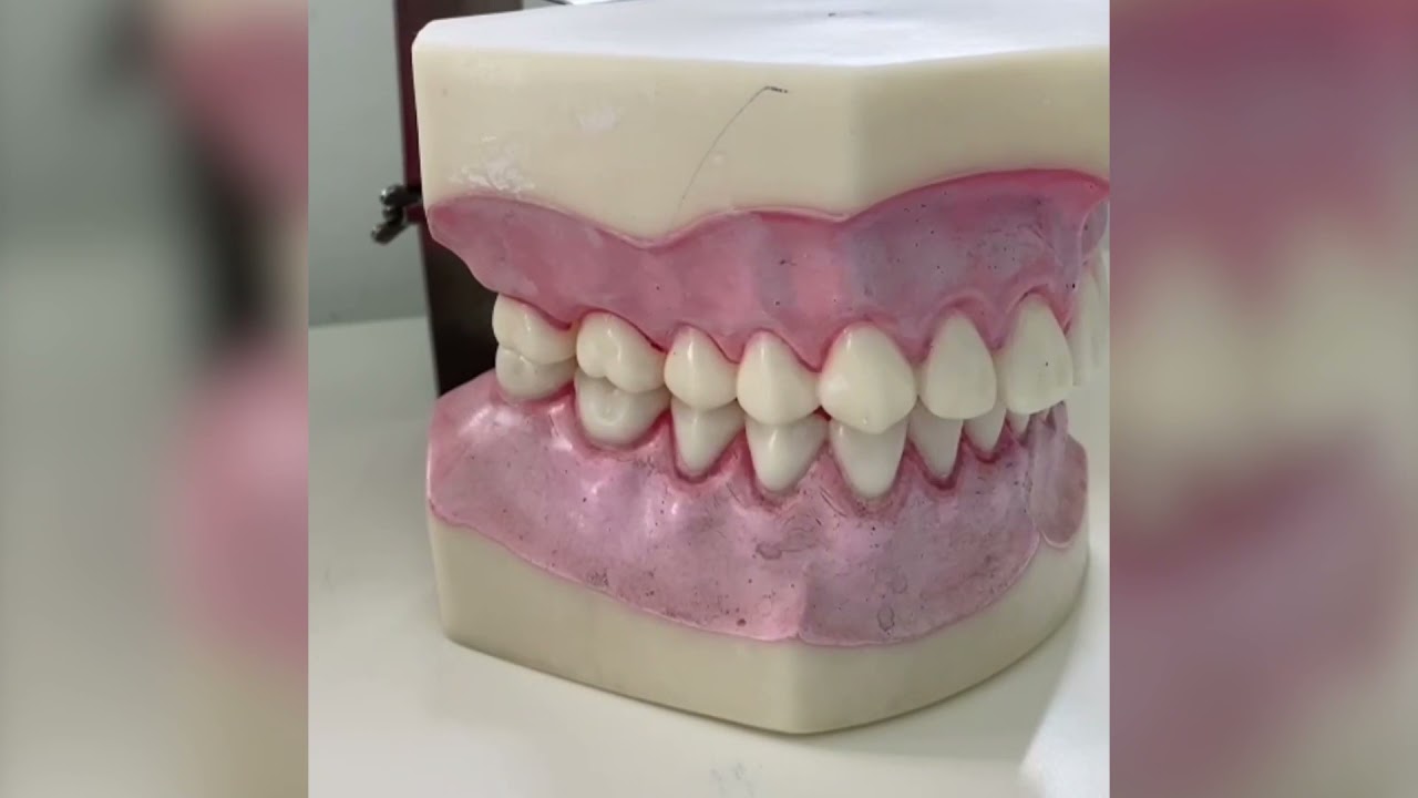 Giornata Nazionale dell'igienista dentale 2021 - LO SPAZZOLINO MANUALE: CONOSCIAMOLO MEGLIO