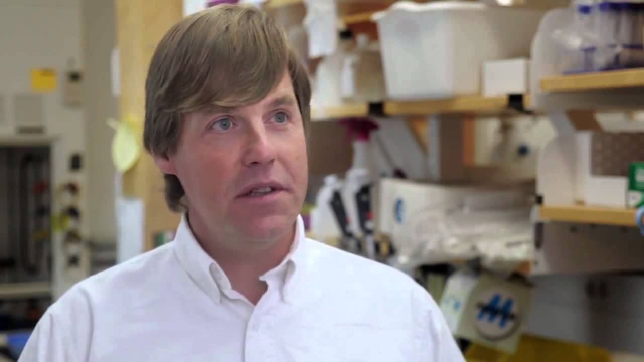 Research in a minute: Jonathan Dennis