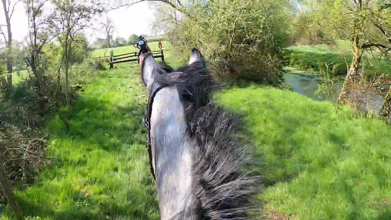 Bicester Novice Team Chase 2022 (Paris)