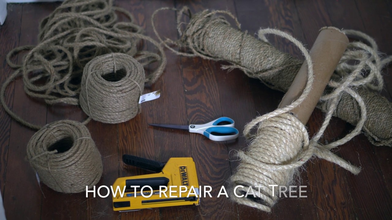 How To Repair A Cat Tree Yourself in 8 Simple Steps!