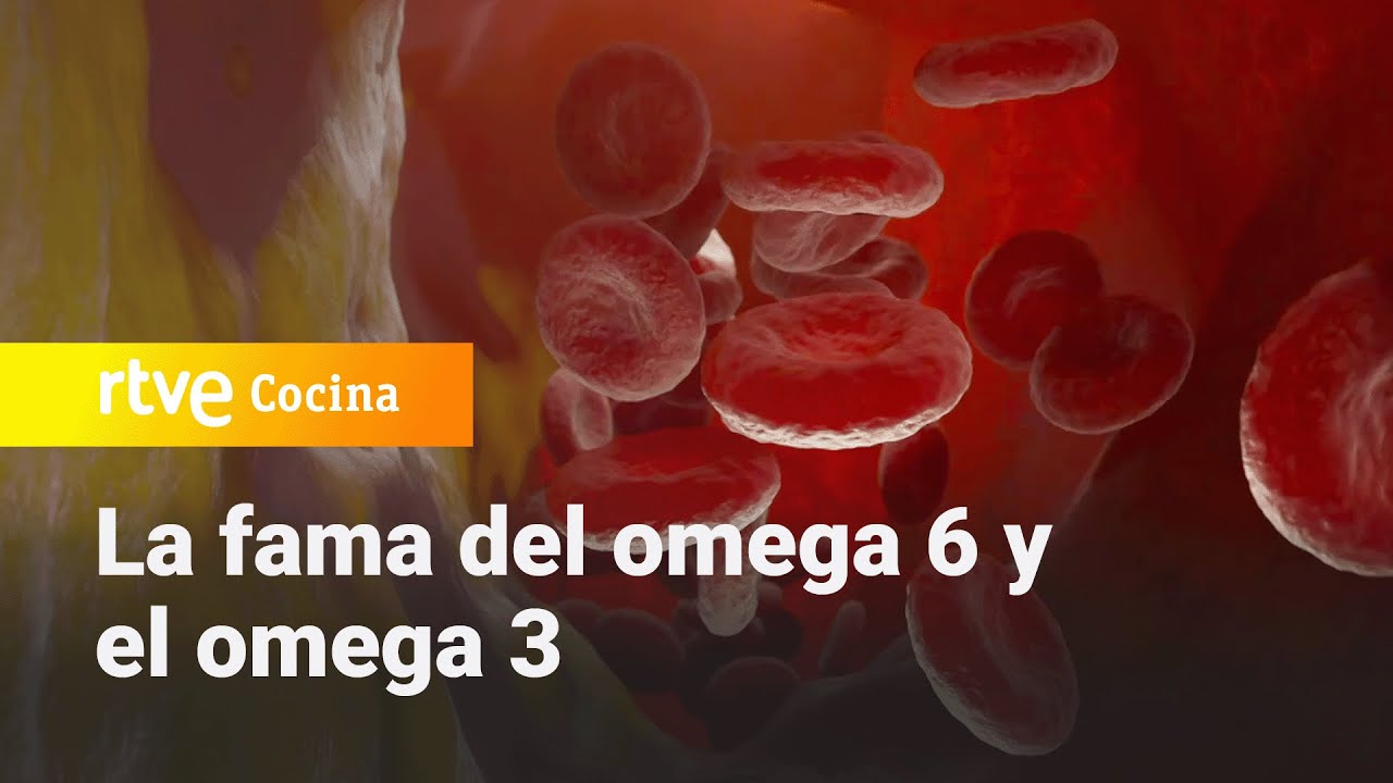 Conoce qué tan malo es el omega 6 y dónde encontrar omega 3 - Saber Vivir | RTVE Cocina