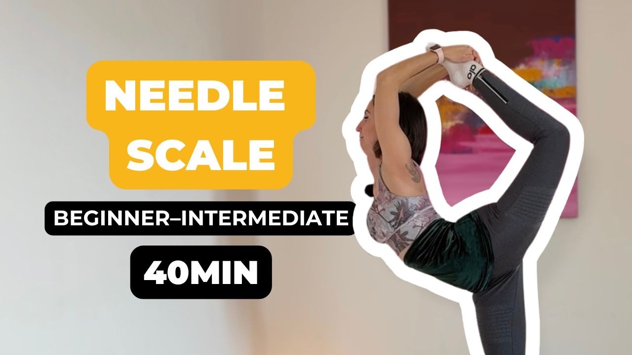 Contortion Training At Home 🐍 Needle Scale Pose
