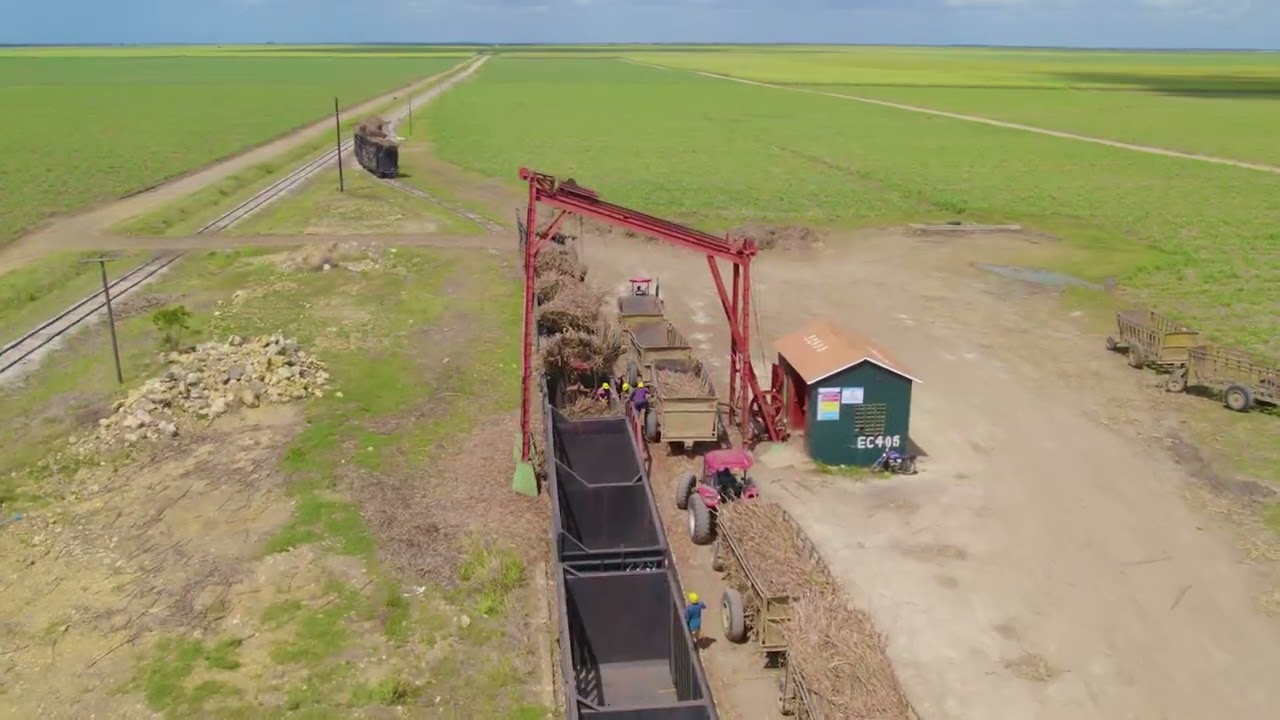 Central Romana - Transportación y Carga de la Caña - #centralromana Sugarcane Transportation