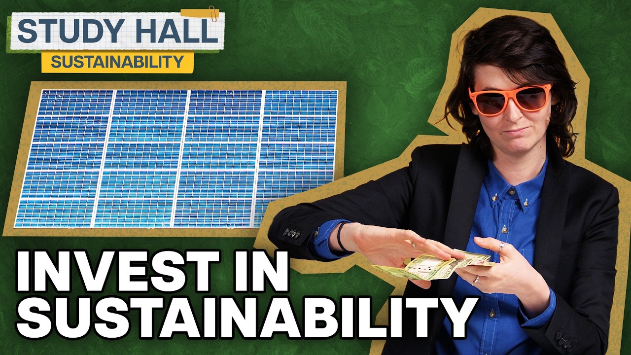 Can sustainability make you money? | Sustainability 20 of 31 | Study Hall